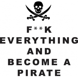 Illustration for article titled Pirate Party Followup: Thanks, Hivemind!